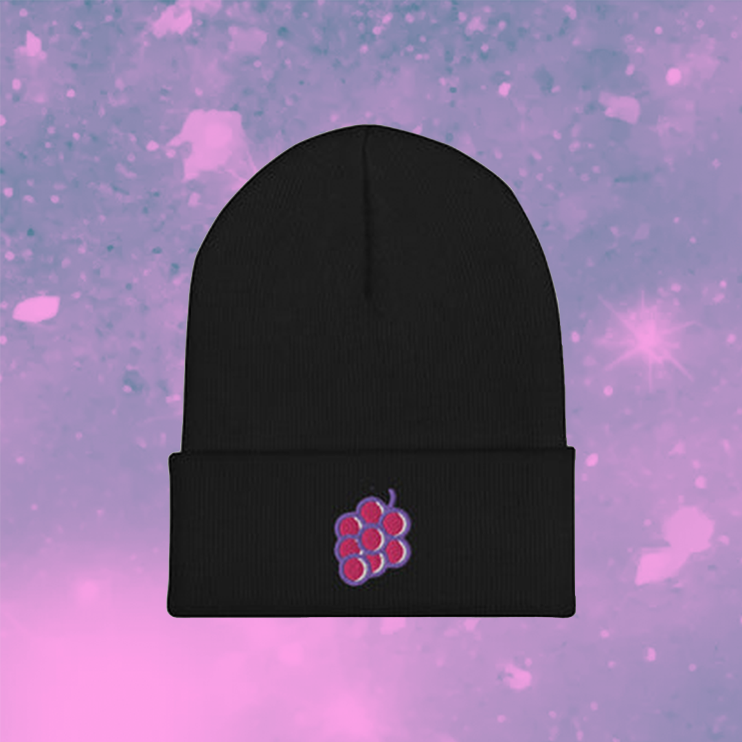 embroidered logo beanie